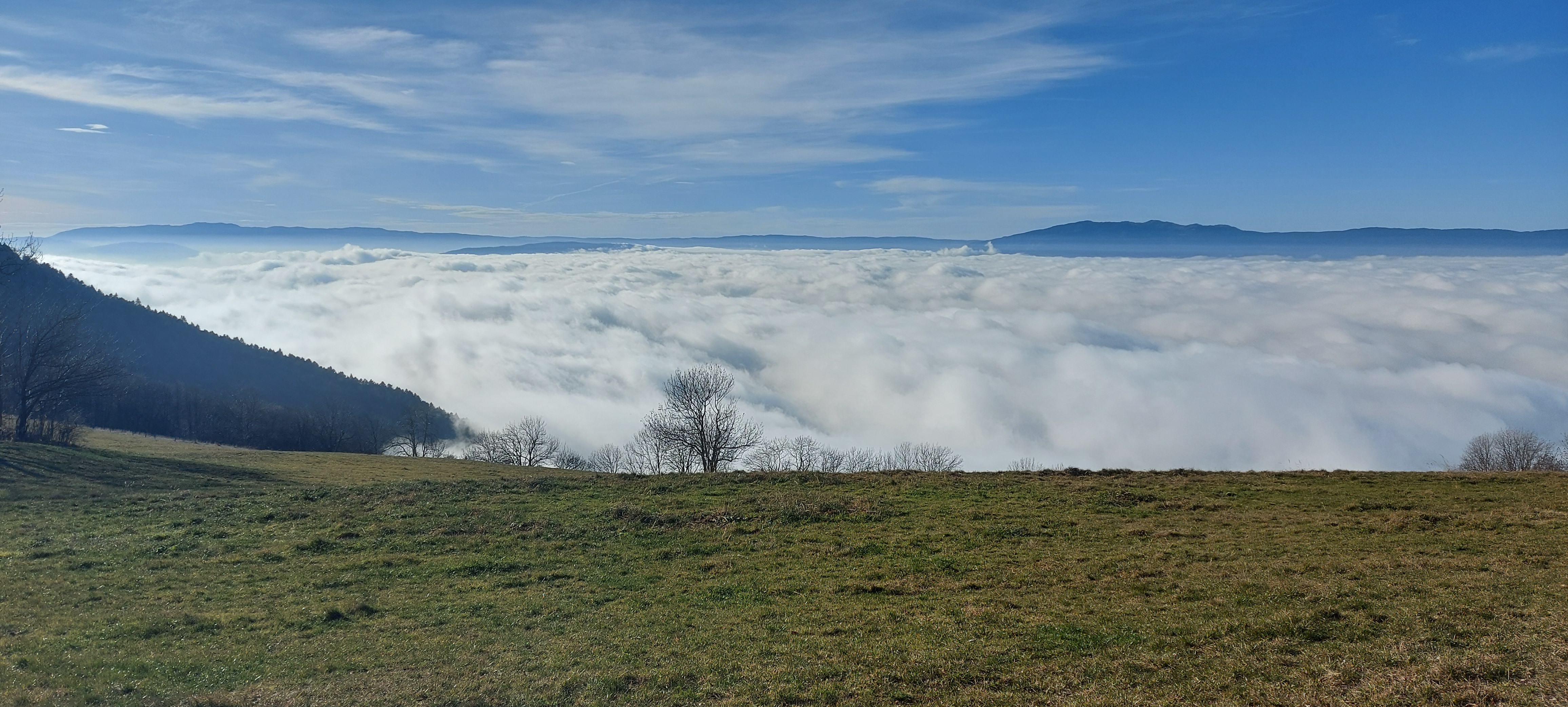 Photo n° 2 de l'avis de Stepan.a fait le 10/12/2020 à 15:05