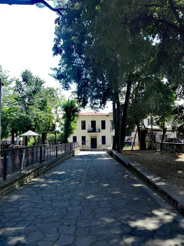 Τμήμα Παραδοσιακών χορών Δήμου Ιωαννιτών