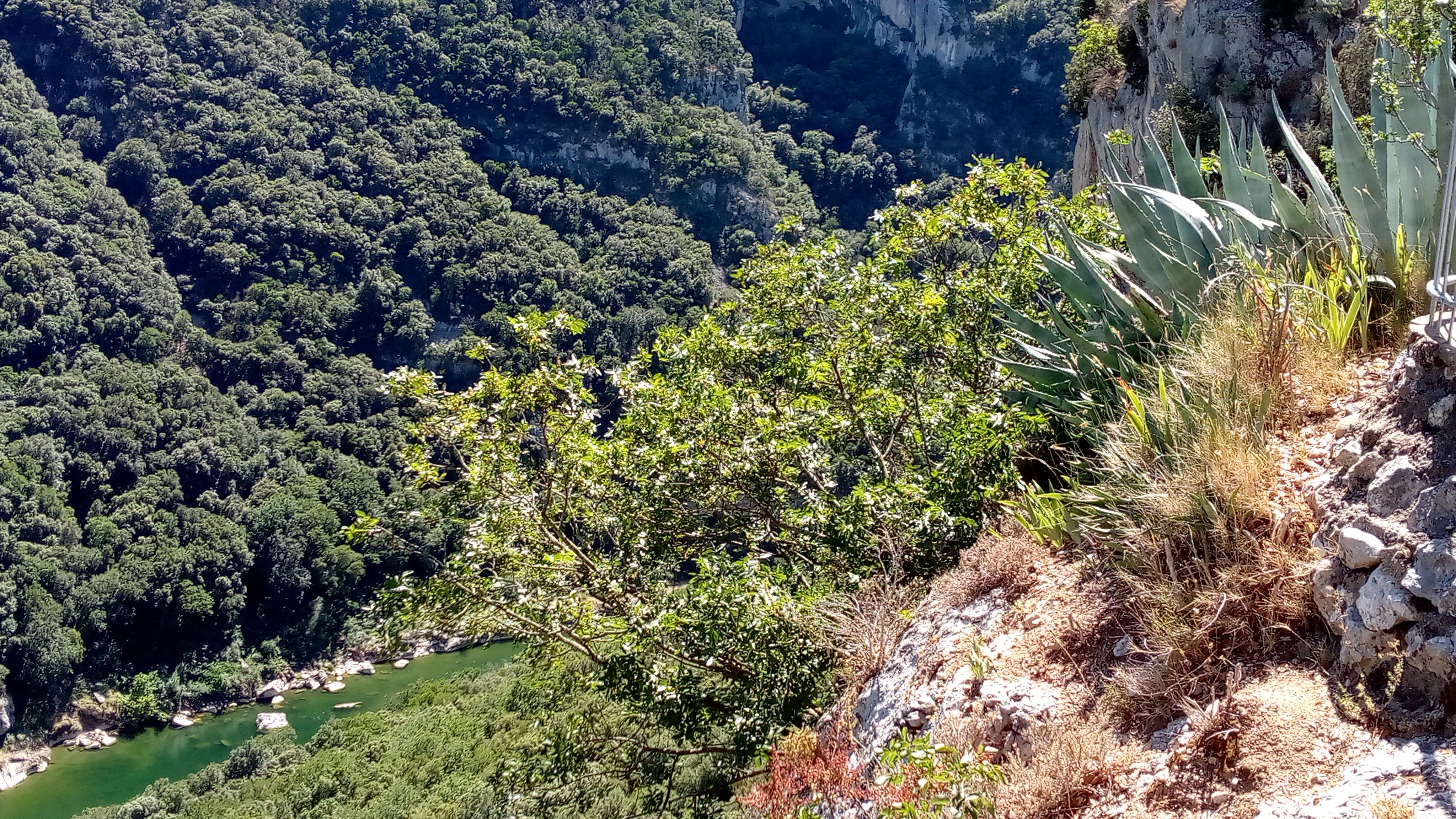 Photo n° 2 de l'avis de Nathalie.o fait le 12/06/2022 à 09:41