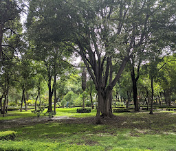 Alameda Hidalgo photo