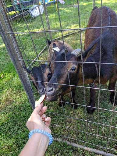 History Museum «Heritage Farm Museum», reviews and photos, 21668 Heritage Farm Ln, Sterling, VA 20164, USA