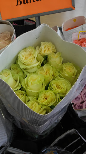 Produce Market «Produce Junction Inc», reviews and photos, 265 S Easton Rd, Glenside, PA 19038, USA