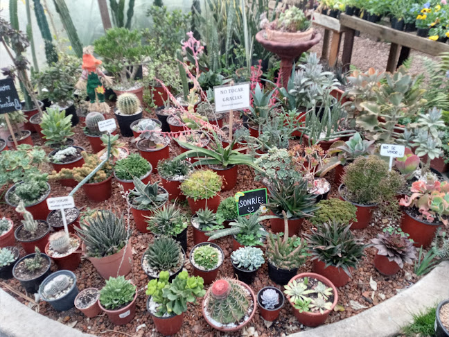 Opiniones de Vivero Los Suspiros en Fray Bentos - Centro de jardinería