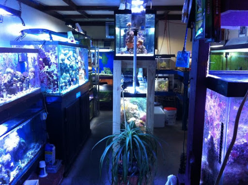 TnT Saltwater Aquariums