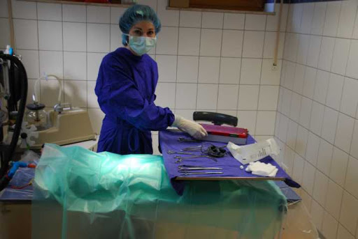 Dr.med.vet. Marion Andreas unter Eschwege, 