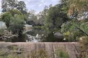 Victoria Creek Reserve image
