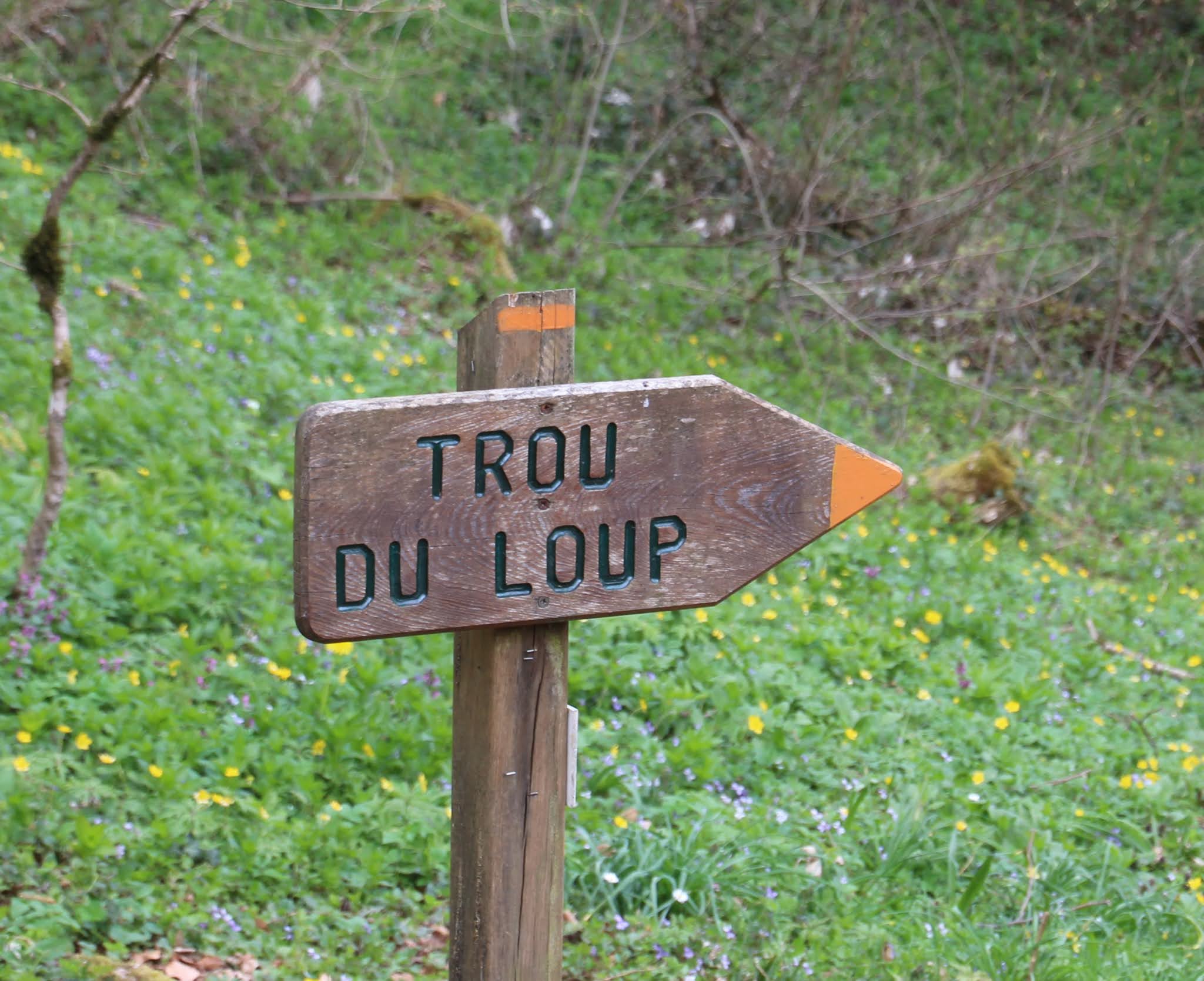 Photo n° 1 de l'avis de CHARTREUSE.4 fait le 11/04/2021 à 15:38