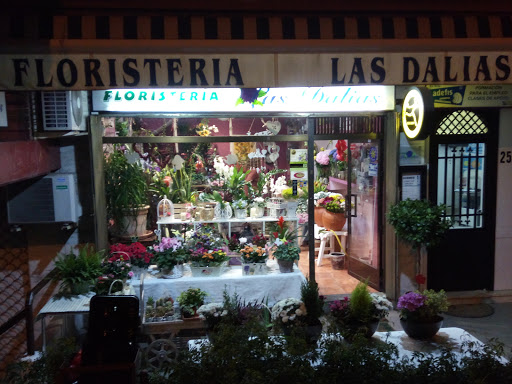 Floristería Las Dalias en Las Rozas de Madrid, Madrid