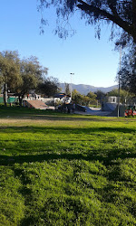 Skatepark Hijuelas