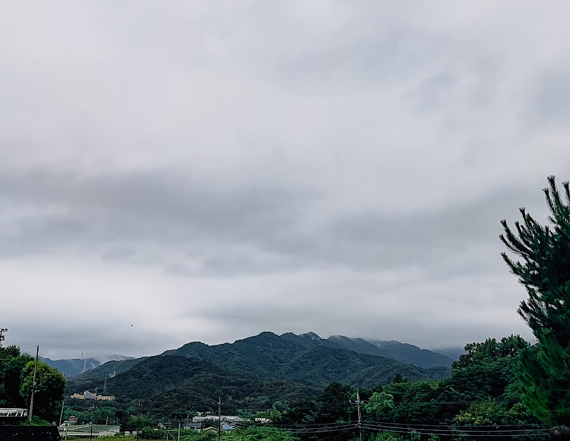 伊勢原自動車学校