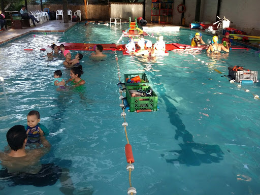 Aquatica Escuela de Natación
