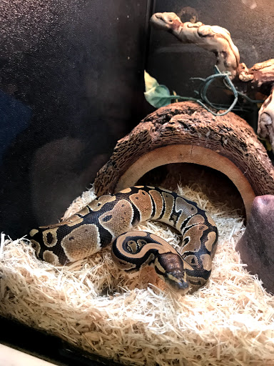 Pet Supply Store «PetSmart», reviews and photos, 5013 S Cleveland Ave, Fort Myers, FL 33907, USA