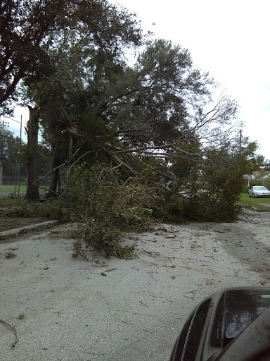 Baseball Field «James P. Small Park», reviews and photos, 1701 Myrtle Ave N, Jacksonville, FL 32209, USA