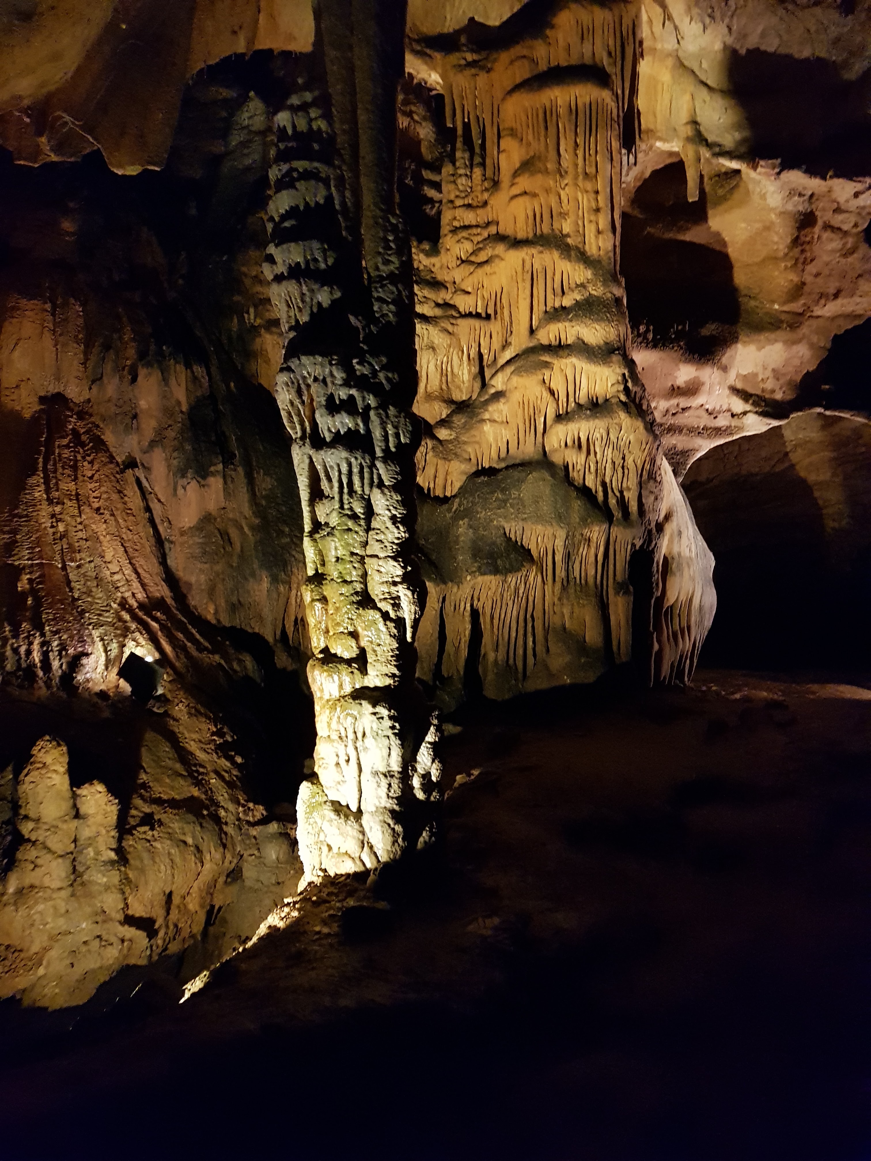 Photo n° 8 de l'avis de Jan.o fait le 05/06/2019 à 17:42