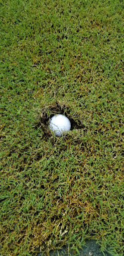 Golf Club «Marriott Golf Academy», reviews and photos, 12001 Ave Verde, Orlando, FL 32821, USA