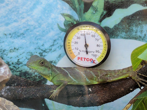 Pet Supply Store «Petco Animal Supplies», reviews and photos, 1 US-46, Totowa, NJ 07512, USA