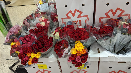 Publix Pharmacy at Brooker Creek, 36301 E Lake Rd S, Palm Harbor, FL 34685, USA, 