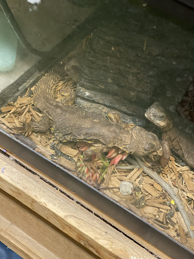 Pet Supply Store «College Greens Pet Center», reviews and photos, 3311 Julliard Dr # A, Sacramento, CA 95826, USA