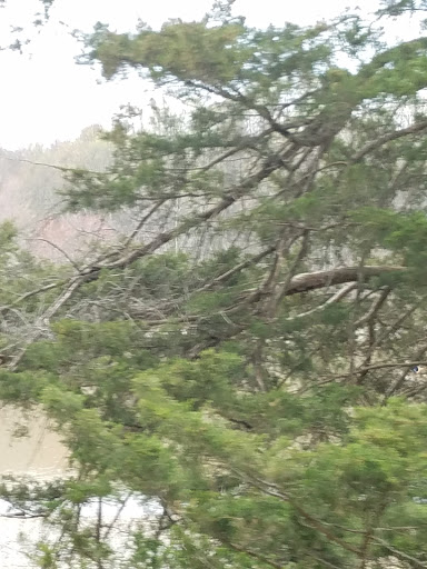 Recreation Center «Go Ape Zip Line & Treetop Adventure - Rock Creek Regional Park», reviews and photos, 6129 Needwood Lake Dr, Rockville, MD 20855, USA