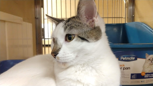 Pet Supply Store «PetSmart», reviews and photos, 11200 Fountains Way, Maple Grove, MN 55369, USA