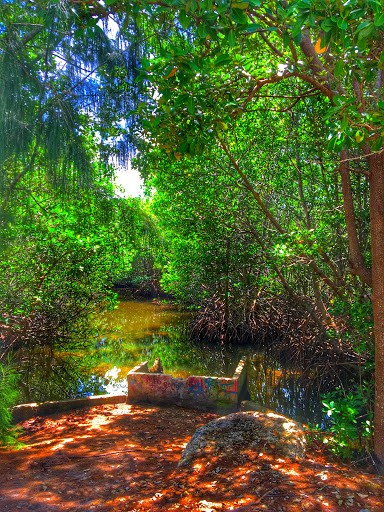 Real Estate Consultant «The Levy Group at Coldwell Banker Pinecrest», reviews and photos, 12651 S Dixie Hwy #101, Pinecrest, FL 33156, USA