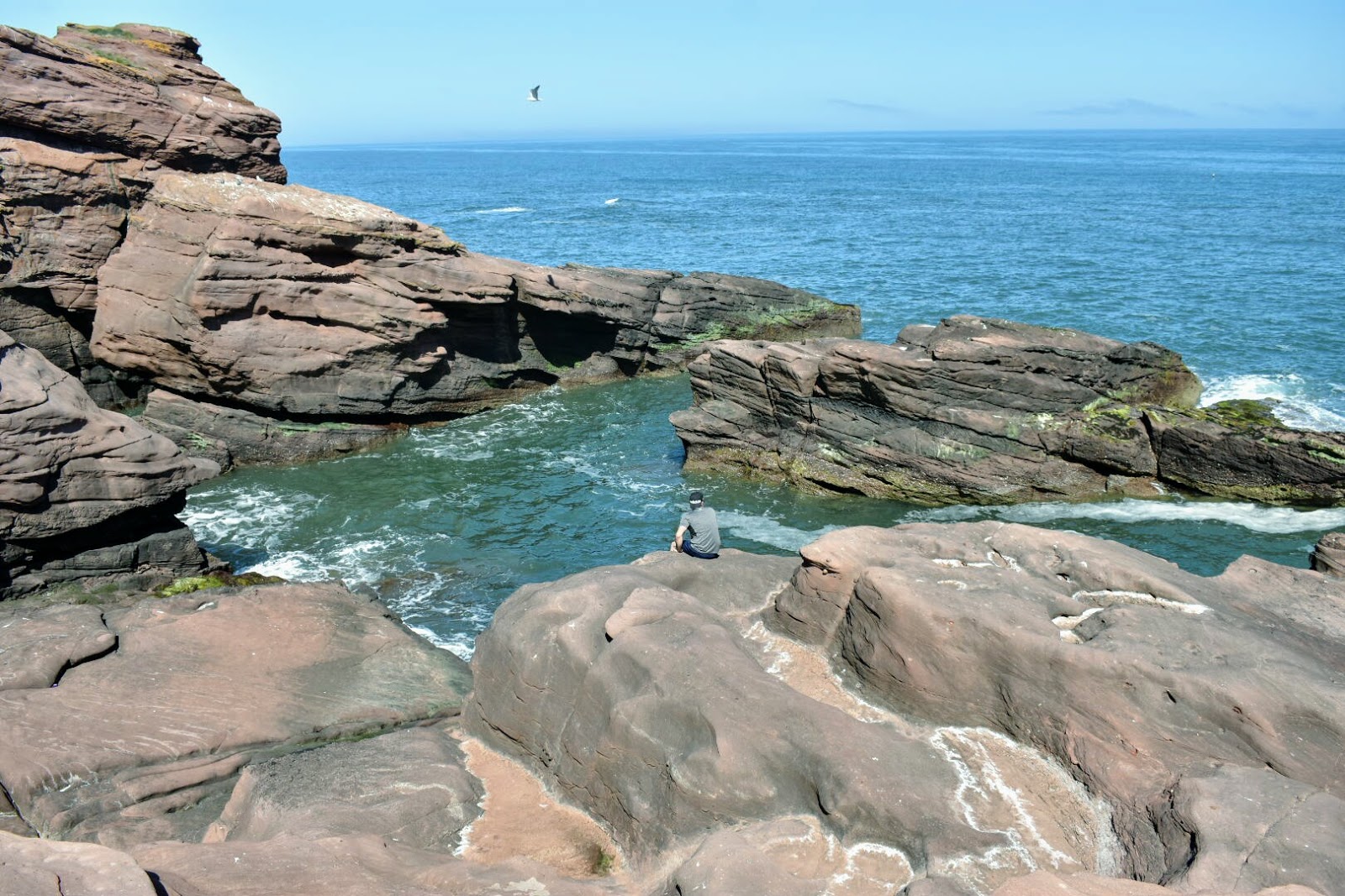 Valokuva Seaton Cliffs Beachista. ja sen kaunis maisema