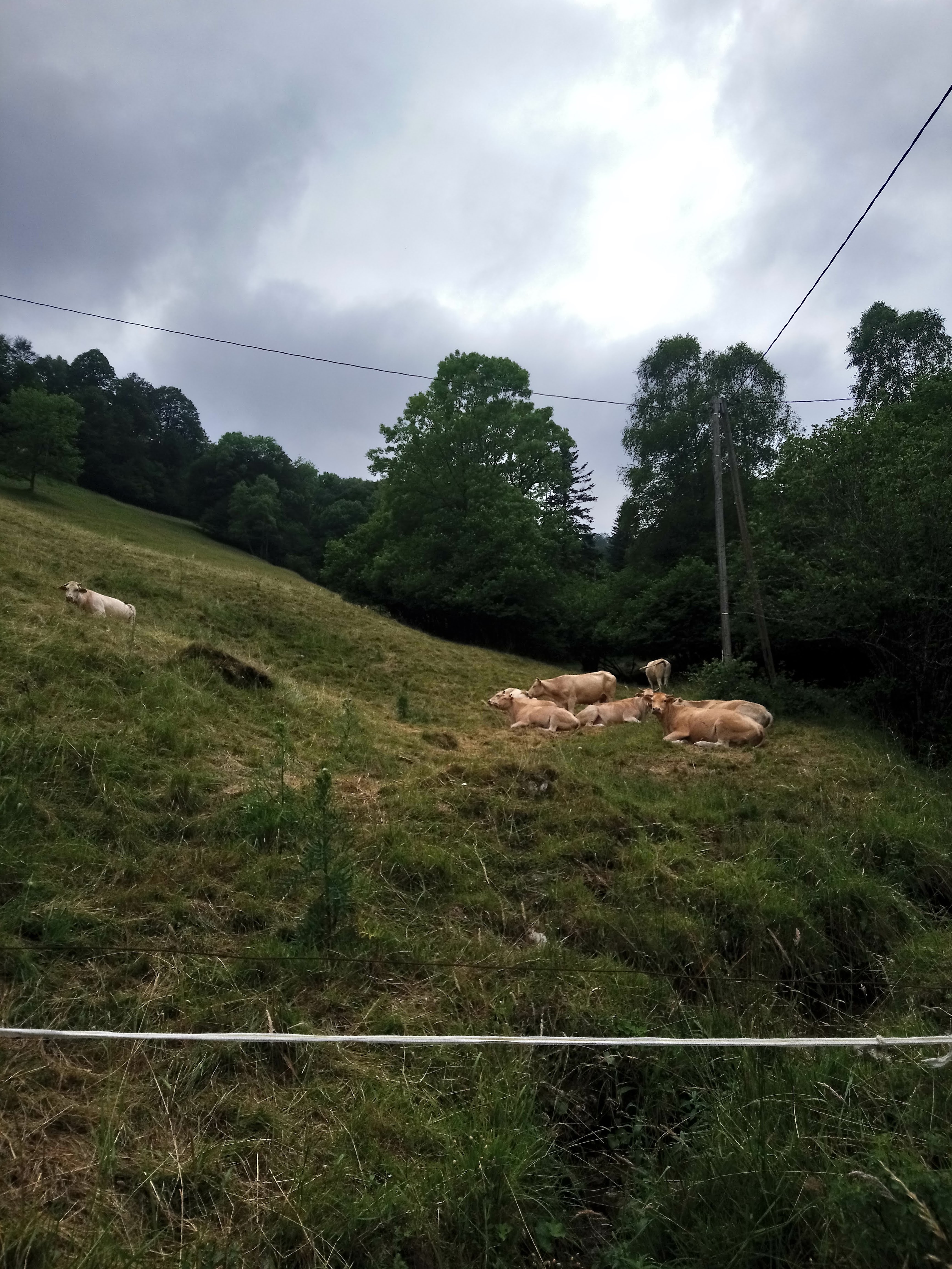 Photo n° 3 de l'avis de Dominique.a fait le 29/07/2019 à 22:20