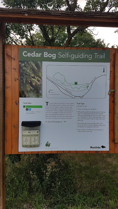 Cedar Bog Self-guiding Trail