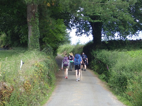 Imagen de Camino de Santiago Reservas (13 de 16)