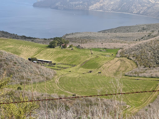 National Park «Channel Islands National Park», reviews and photos
