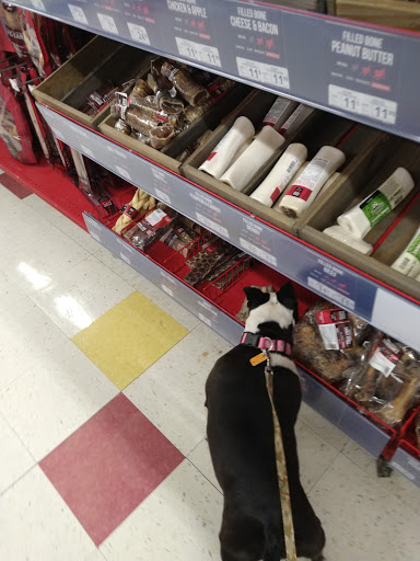 Pet Supply Store «Petco Animal Supplies», reviews and photos, 848 N Colony Rd c, Wallingford, CT 06492, USA