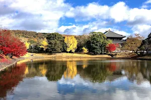 Daibutsu-ike Pond image