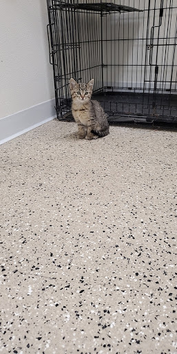 Tobacco Valley Animal Shelter