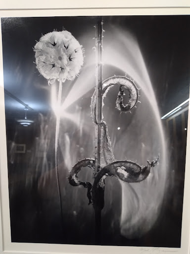 History Museum «Hallie Ford Museum of Art», reviews and photos, 700 State St, Salem, OR 97301, USA