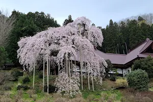 Jitokuji Temple image