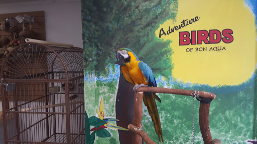 Pet Store «Adventure Birds of Bon Aqua», reviews and photos, 9600 TN-46, Bon Aqua, TN 37025, USA