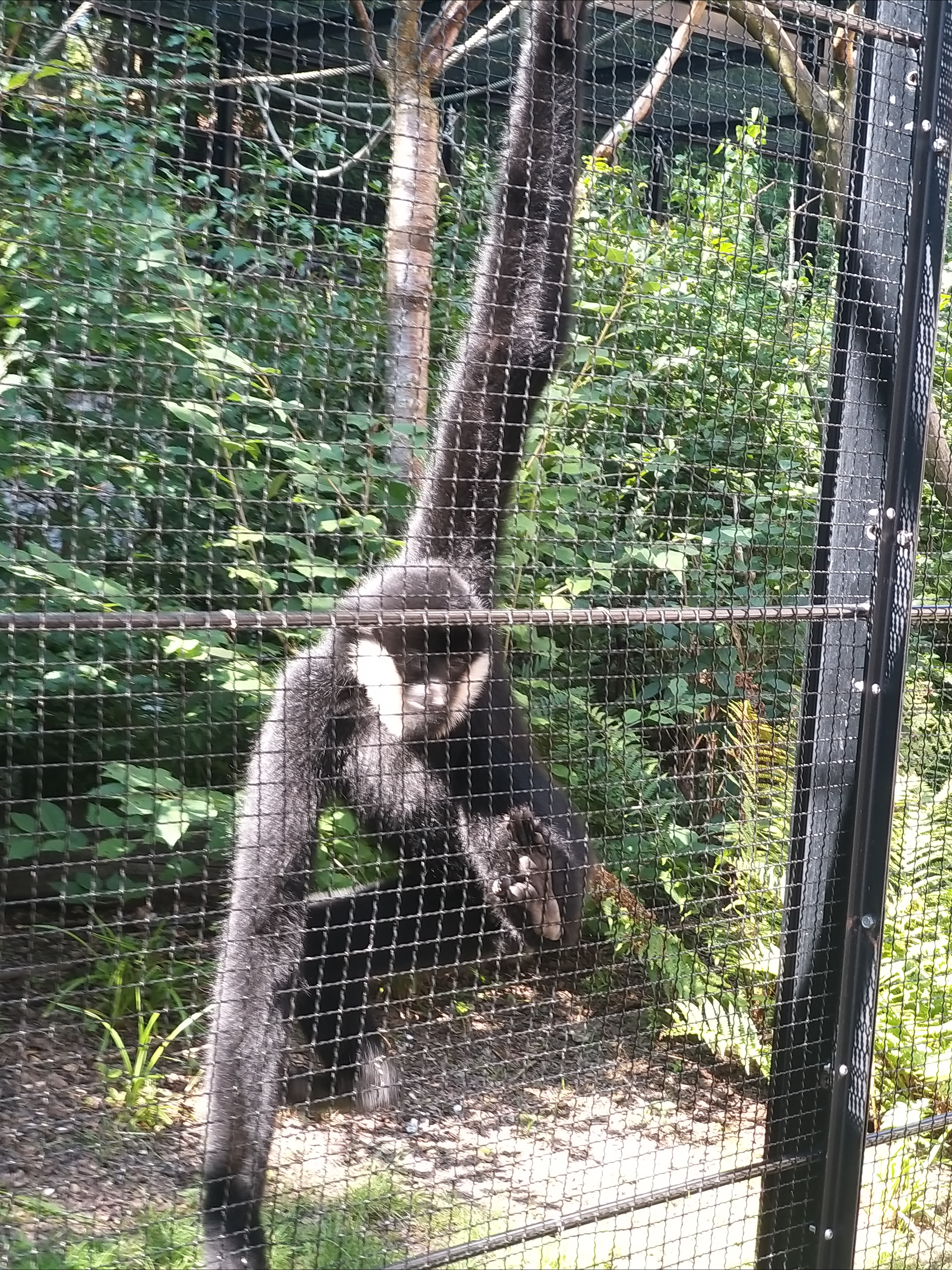 Photo n° 9 de l'avis de Angelique.a fait le 25/08/2019 à 15:14