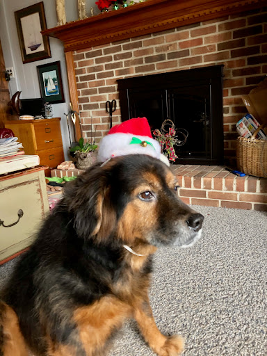 Convenience Store «7-Eleven», reviews and photos, 294 US-206, Flanders, NJ 07836, USA