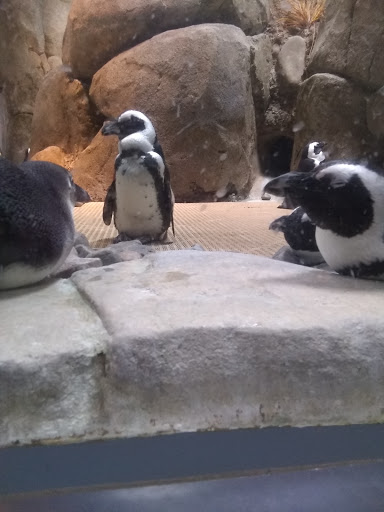 Event Venue «Greensboro Coliseum Complex», reviews and photos, 1921 W Gate City Blvd, Greensboro, NC 27403, USA