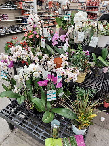 Department Store «Walmart Supercenter», reviews and photos, 235 E Dorset Dr, Dixon, CA 95620, USA