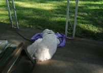 Dog House - Photo 1 - Car repair in Mineral Ridge, OH, Youngstown