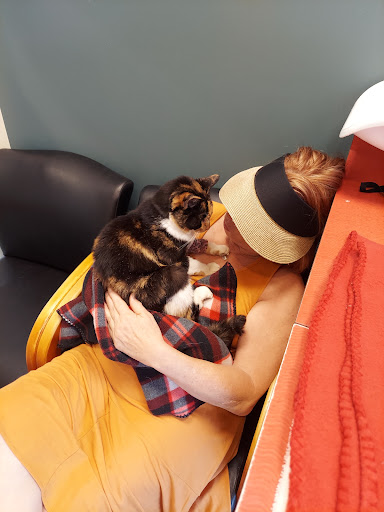 Primary Care Animal Hospital image