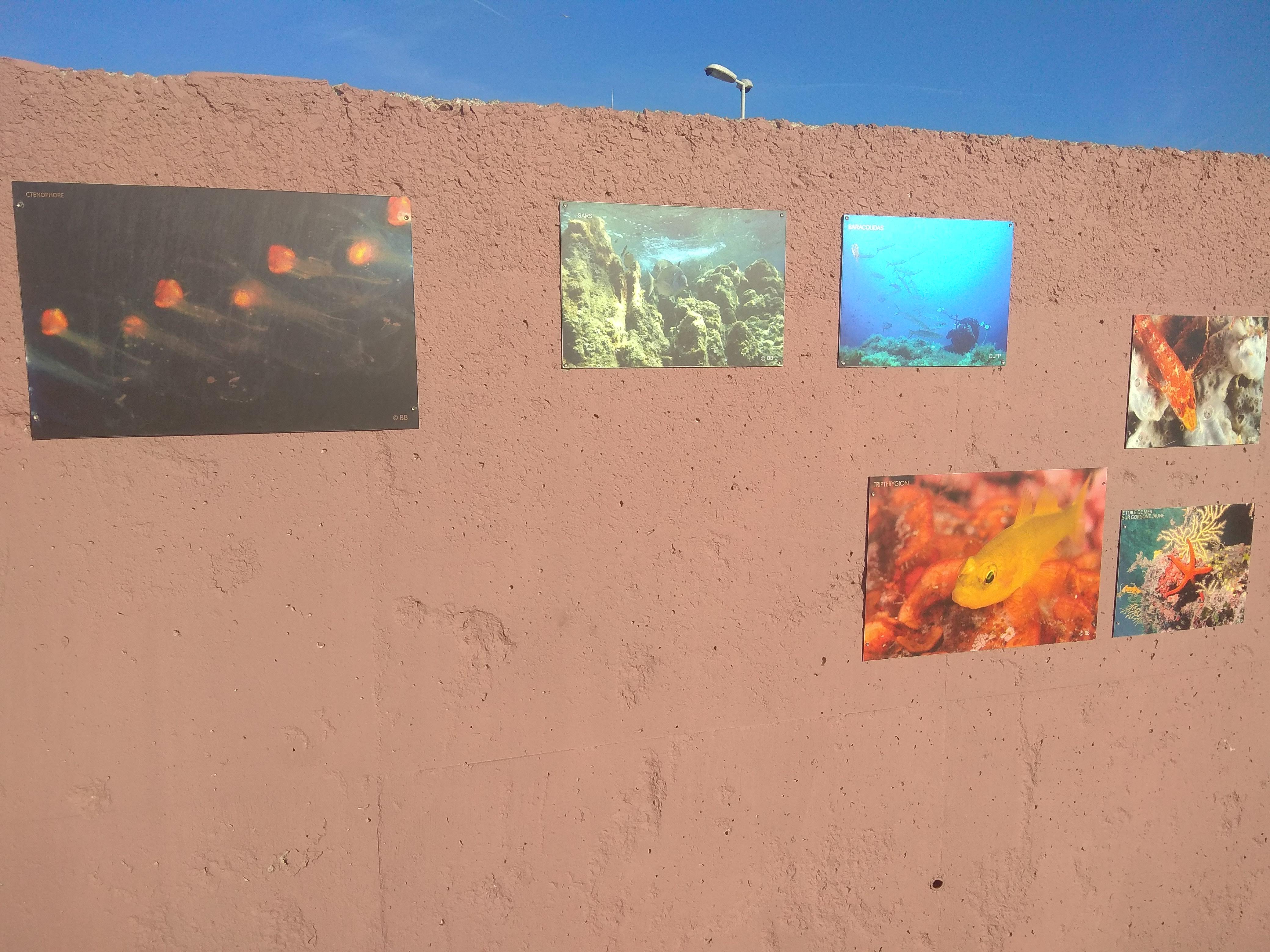 Photo n° 14 de l'avis de Emmanuel.h fait le 05/06/2019 à 10:44