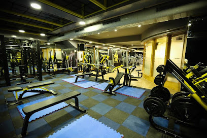The Code Fitness - SCO 45-48, Madhya Marg, Sector 8C, Sector 8, Chandigarh, 160009, India