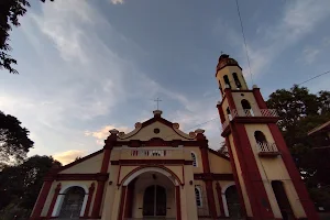 Saint Louis Bertrand Parish Church - Poblacion, Asingan, Pangasinan (Diocese of Urdaneta) image