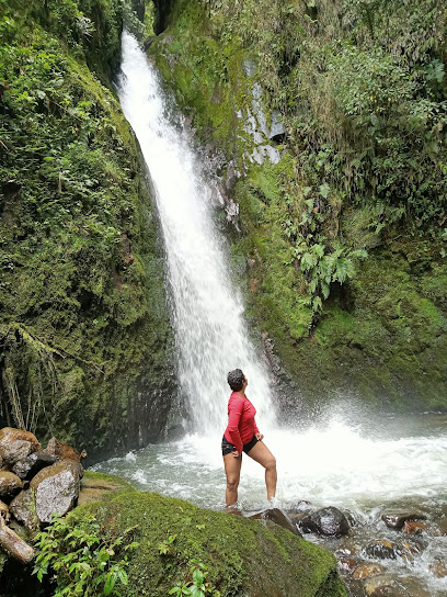 Piscicola chiliglo Kokonuko - Purace, Cauca, Colombia