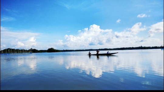 Chatla Wetlands near Assam University, Silchar