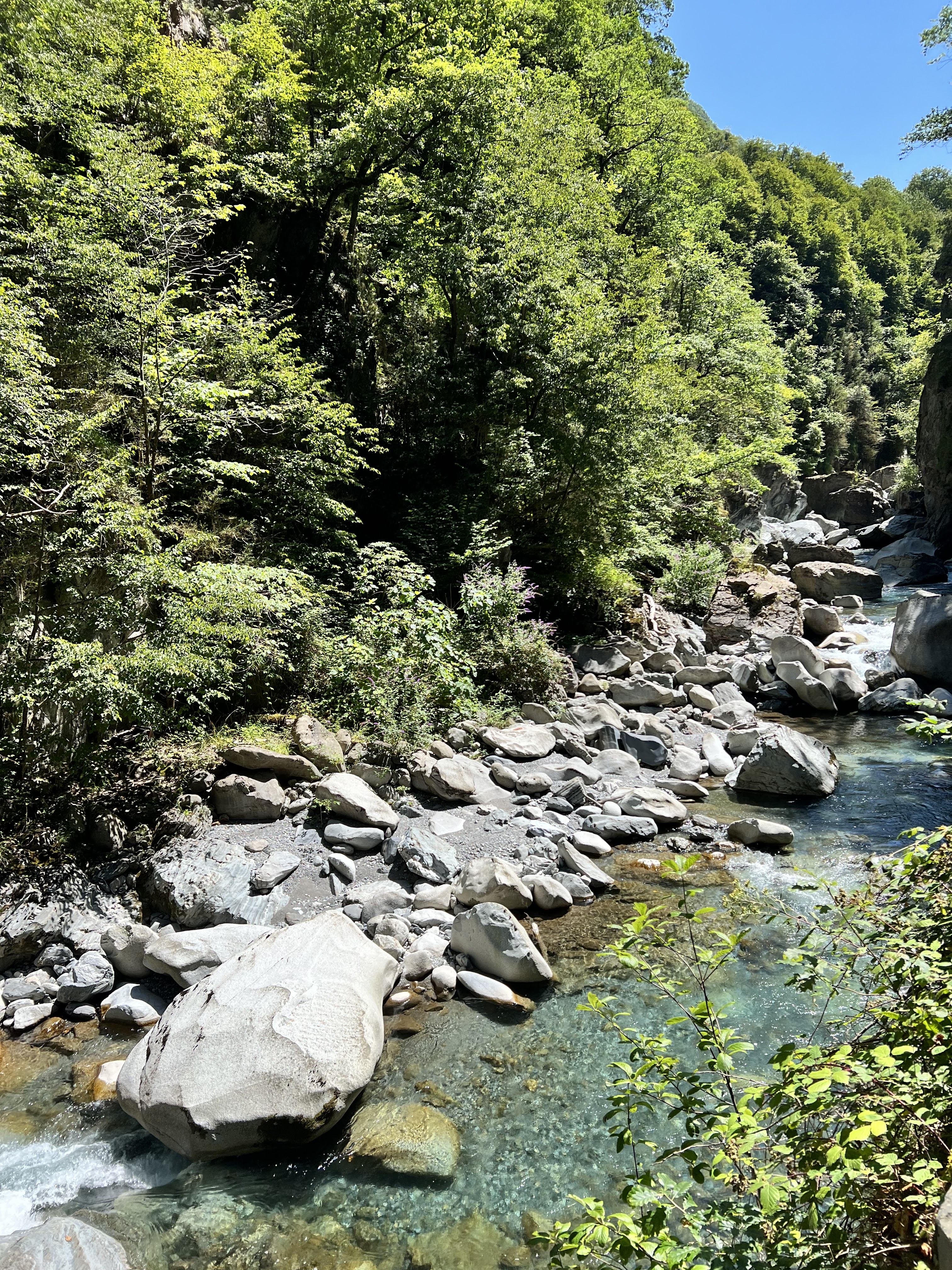 Photo n° 3 de l'avis de Efi. fait le 12/08/2023 à 12:27