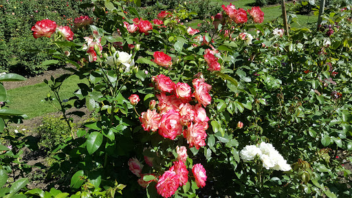 Stadium «Providence Park», reviews and photos, 1844 SW Morrison St, Portland, OR 97205, USA