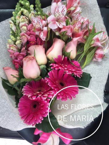 Las Flores de María – San Nicolás de los Garza